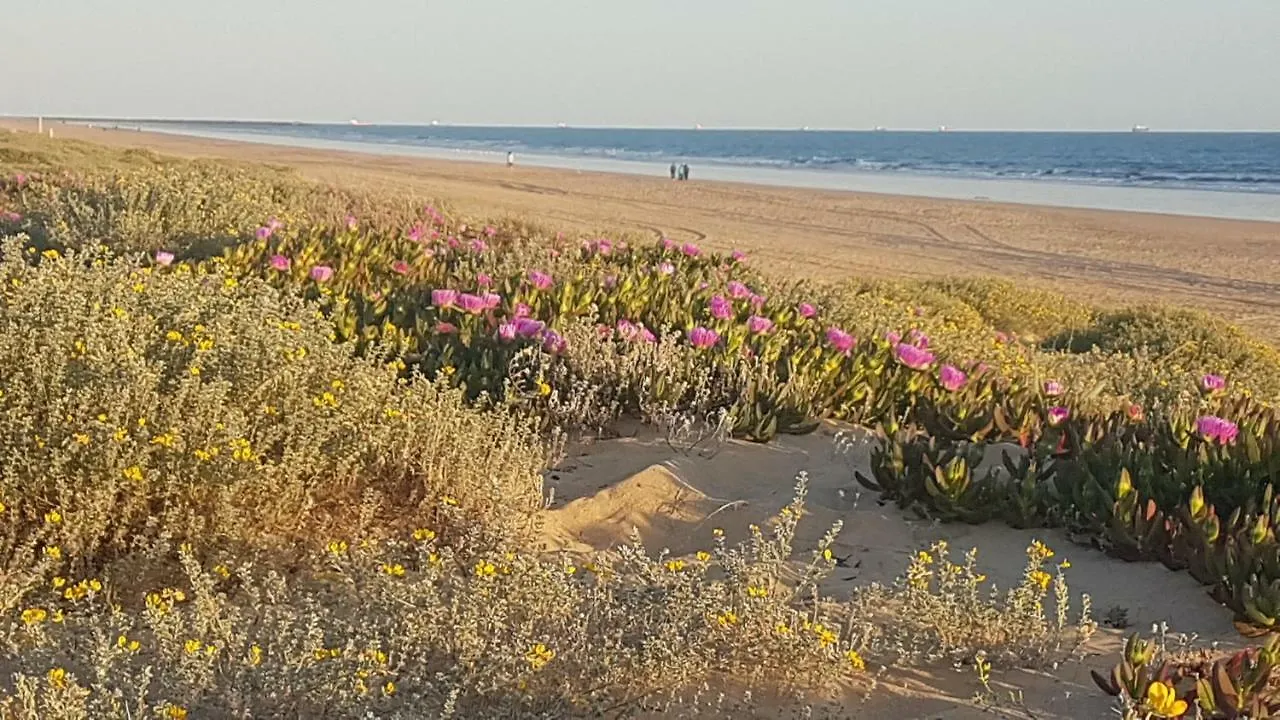 Punta Umbría Hostal Patio Andaluz בית הארחה Punta Umbría